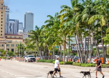 The Silicon Valley to Miami pipeline — by the numbers