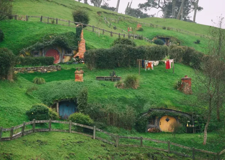 Palantir wants its old employees back: ‘The shire is calling’