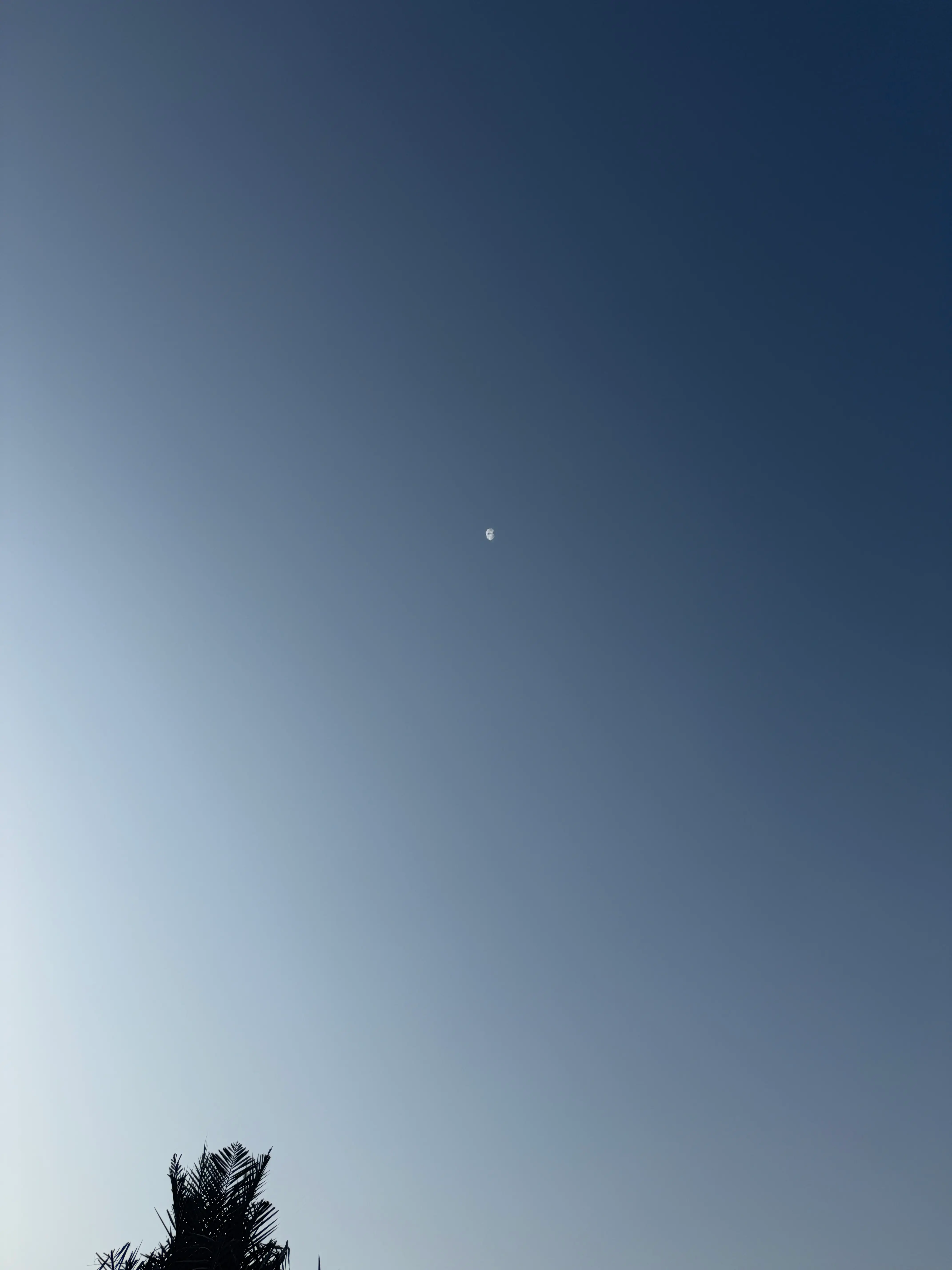 The sky near The Palm in Dubai, United Arab Emirates.