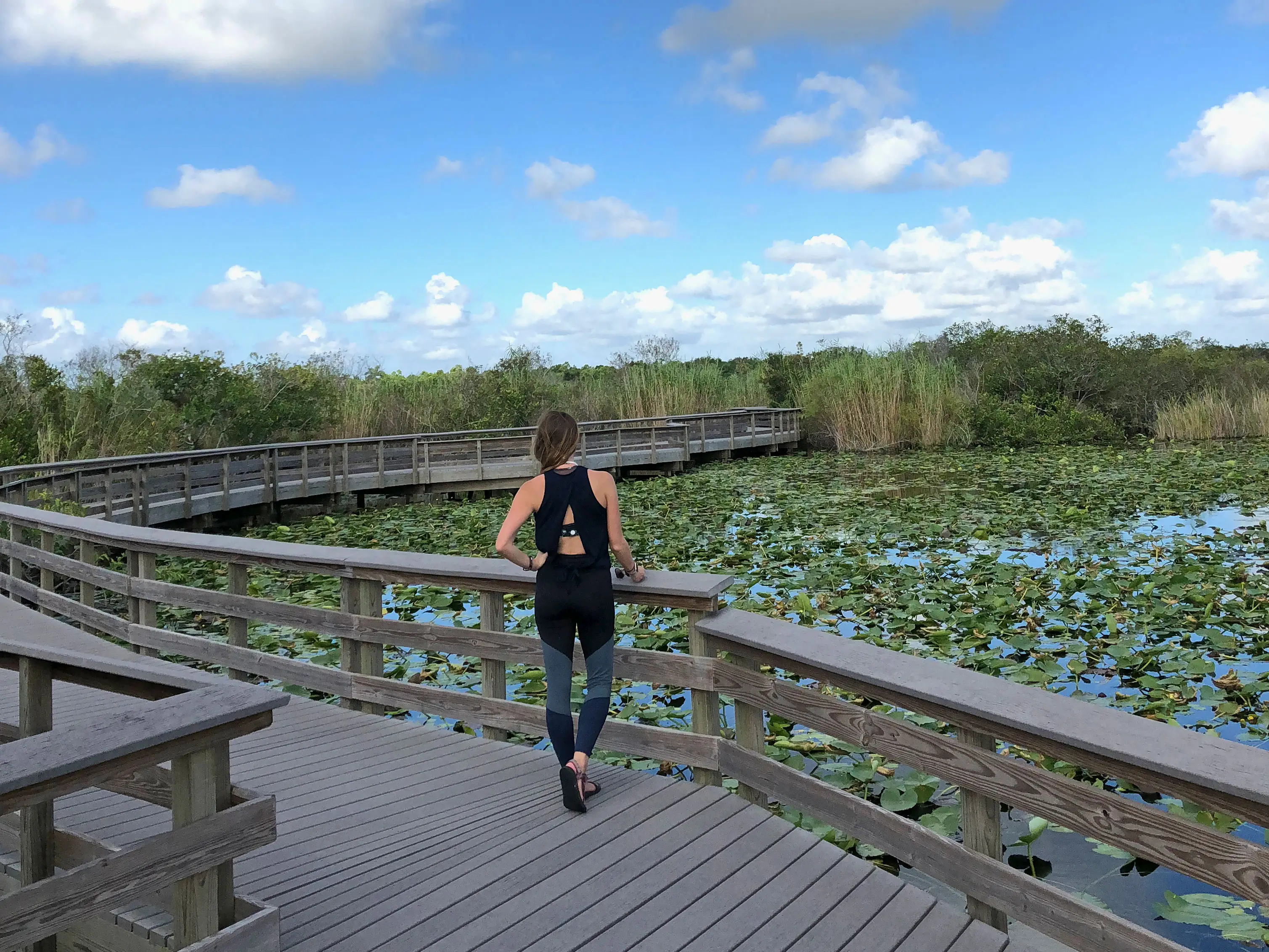 Emily stands on a boardwalk, looking out at marshland in Everglades National Park.