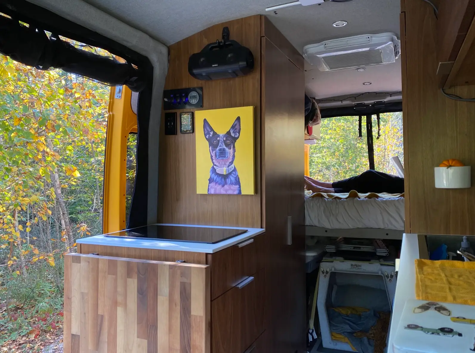 The interior of the couple's van with fall foliage in the background.