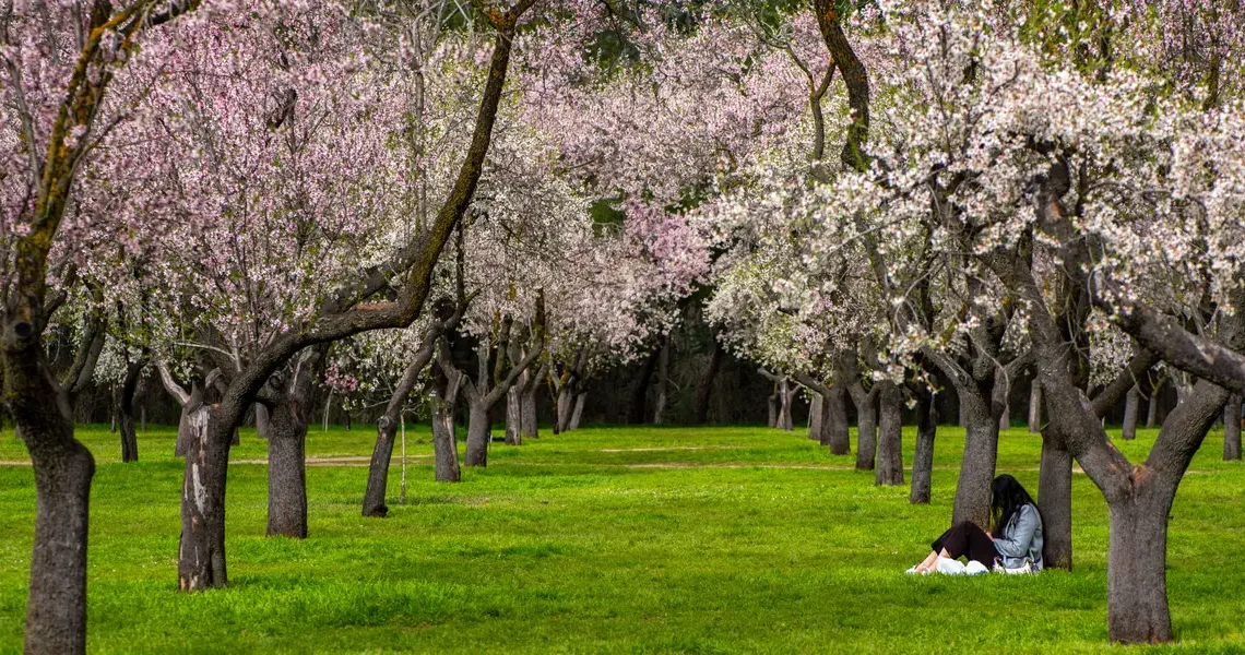 The under-the-radar books early retirees and savvy investors are reading to get ahead