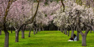 The under-the-radar books early retirees and savvy investors are reading to get ahead