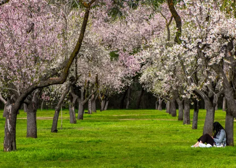 The under-the-radar books early retirees and savvy investors are reading to get ahead