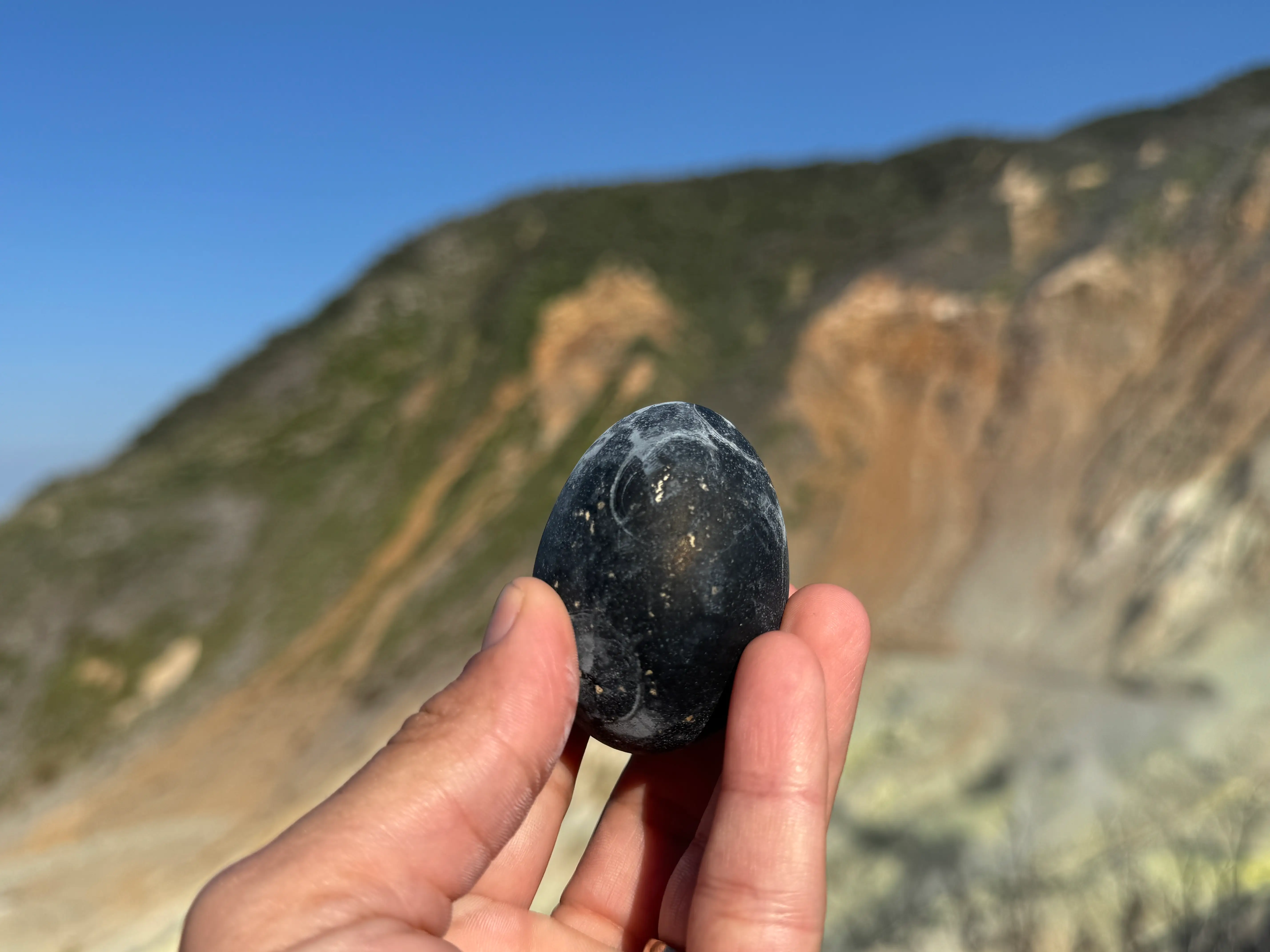 Hand holding black egg