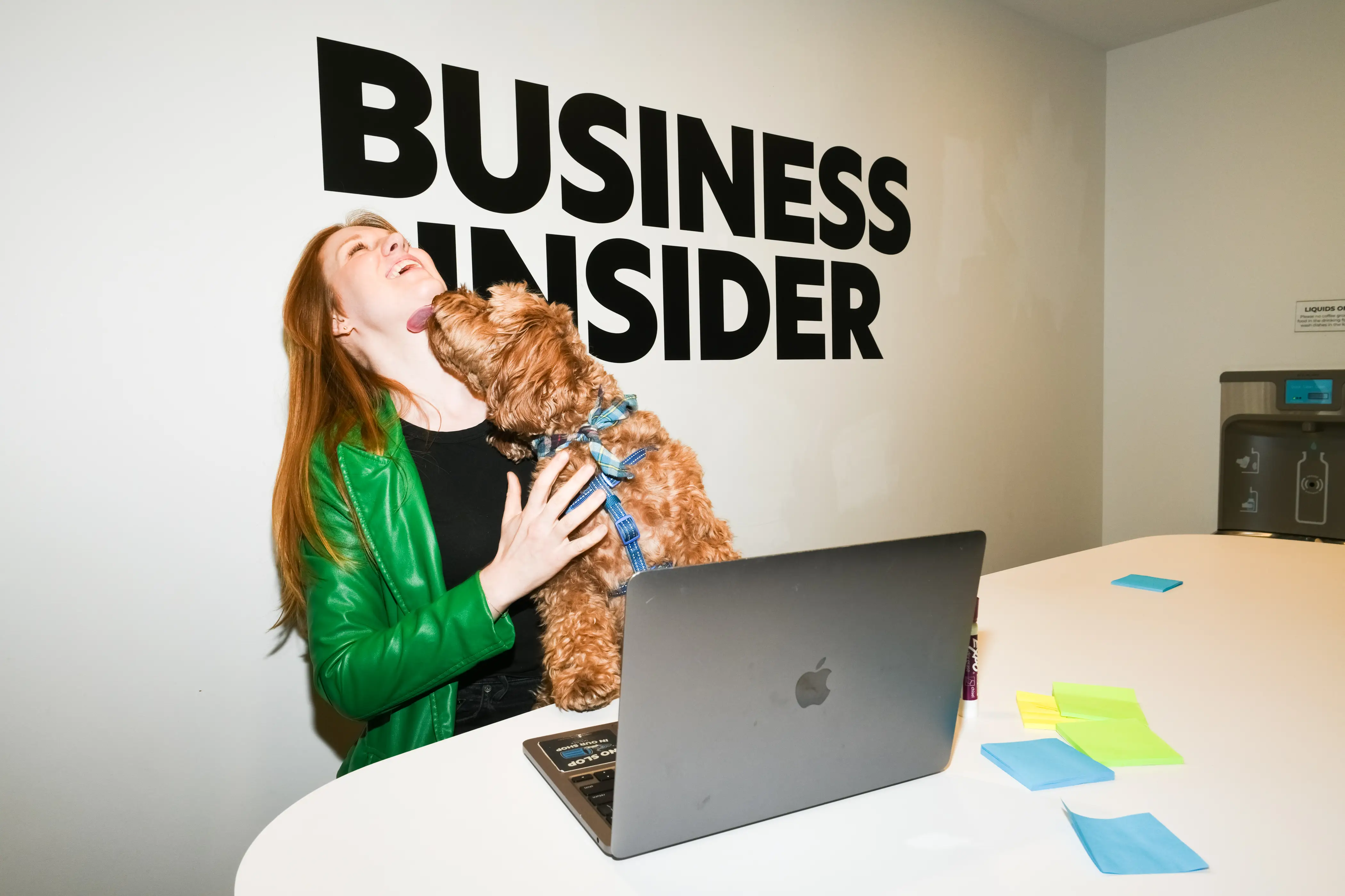 A dog with a service dog tag in NYC