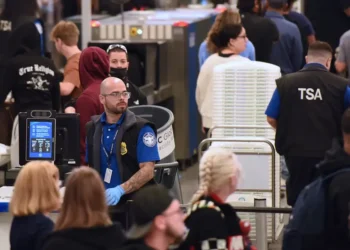 CEOs of America’s biggest airlines say $0 TSA paychecks during the government shutdown are ‘simply unacceptable’