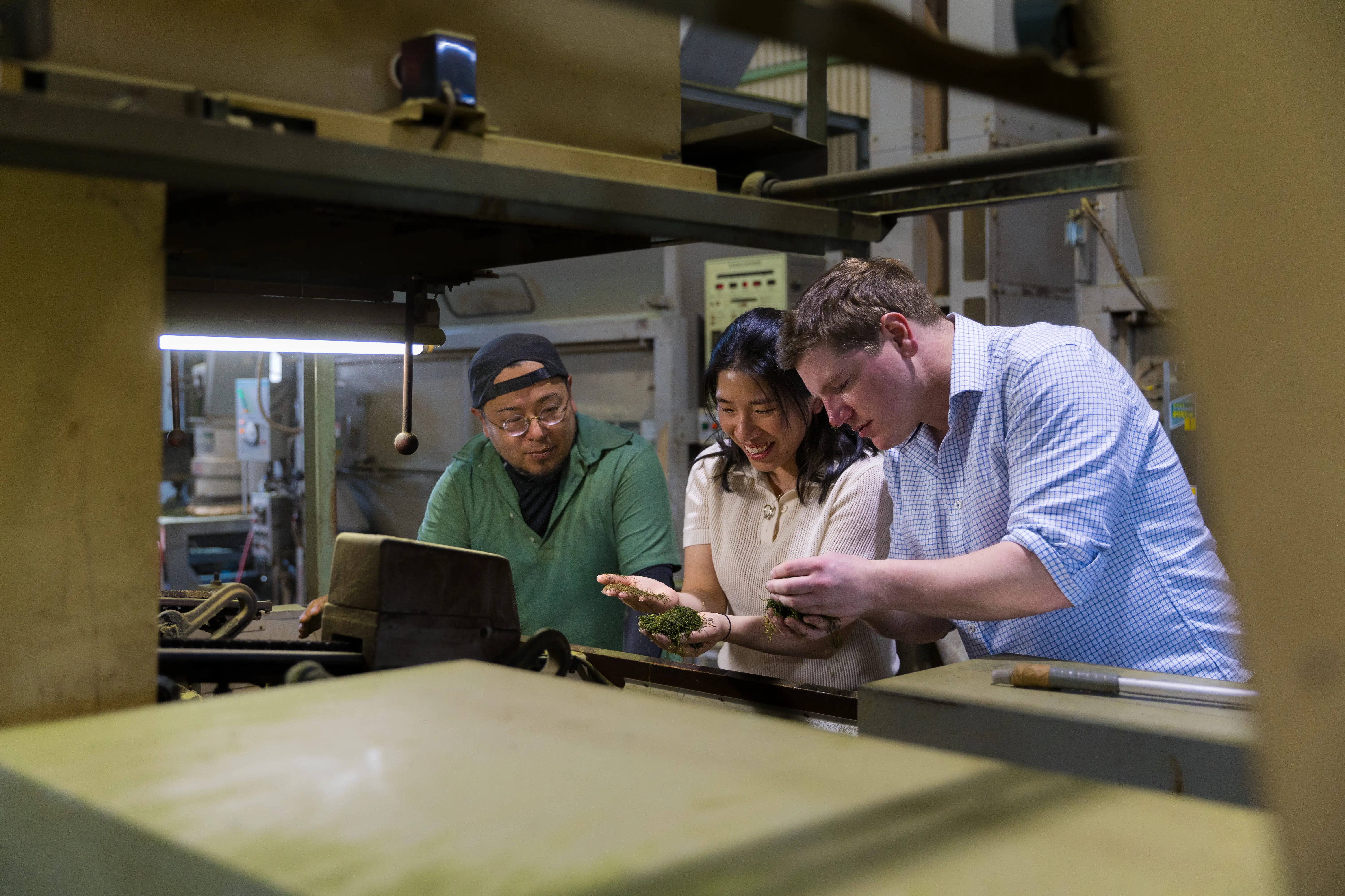 A couple is visiting Hojicha tea production in Shizuoka.