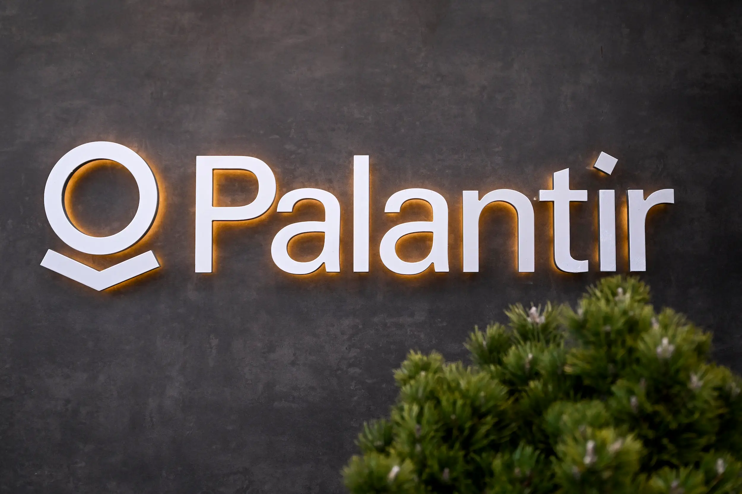 The Palantir logo is shown