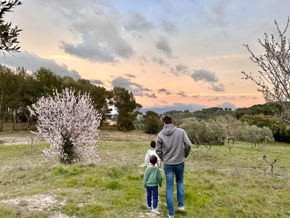 A man and two young children walk in a field at sunset.