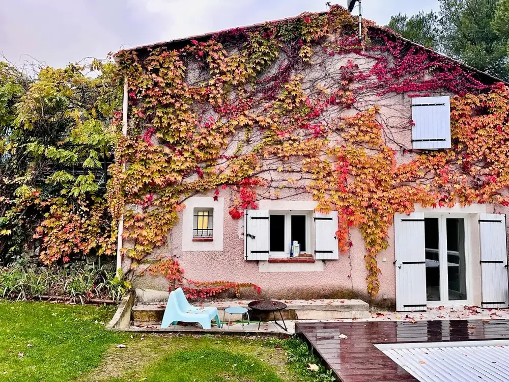 The exterior of the home that has been wrapped in leaves and vines.