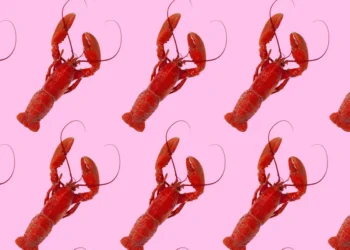 From lobster hats to claw hands: OpenClaw’s internet moment