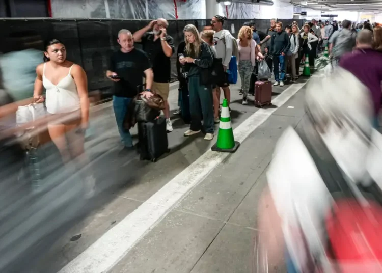 Mass TSA absences mean flying is a crapshoot right now