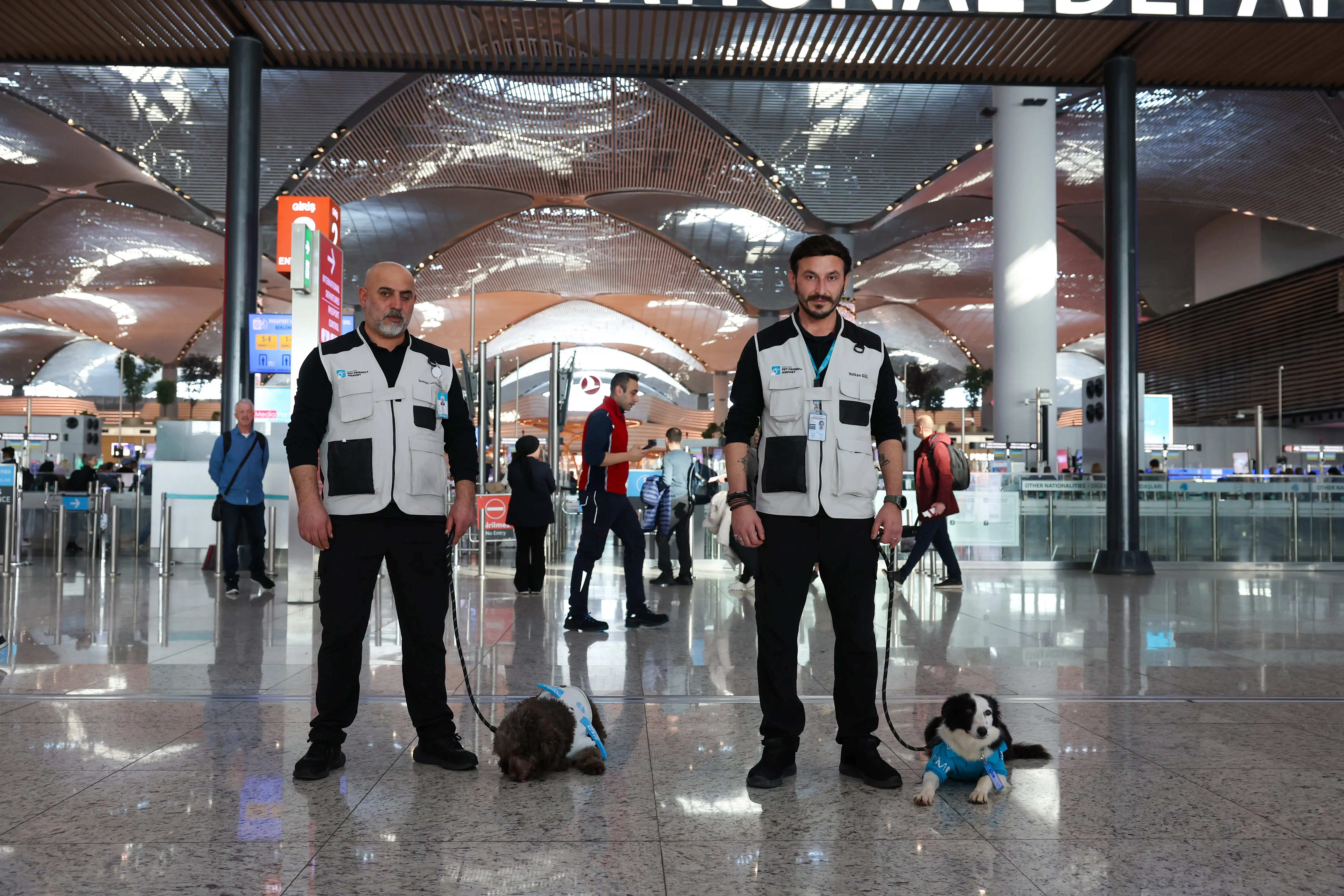 Istanbul Airport has introduced a new project to help reduce passenger stress with the support of five specially trained therapy dogs on January 28, 2025 in Istanbul, Türkiye.