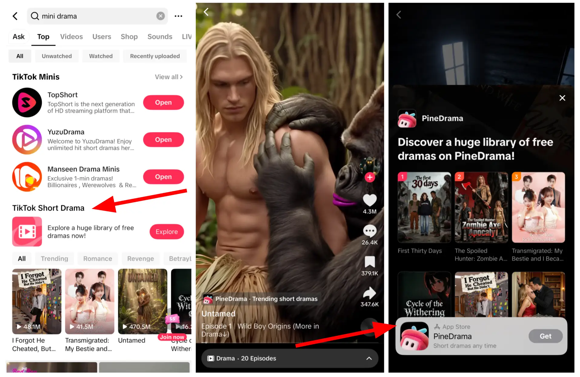 Screenshots of TikTok PineDrama integration