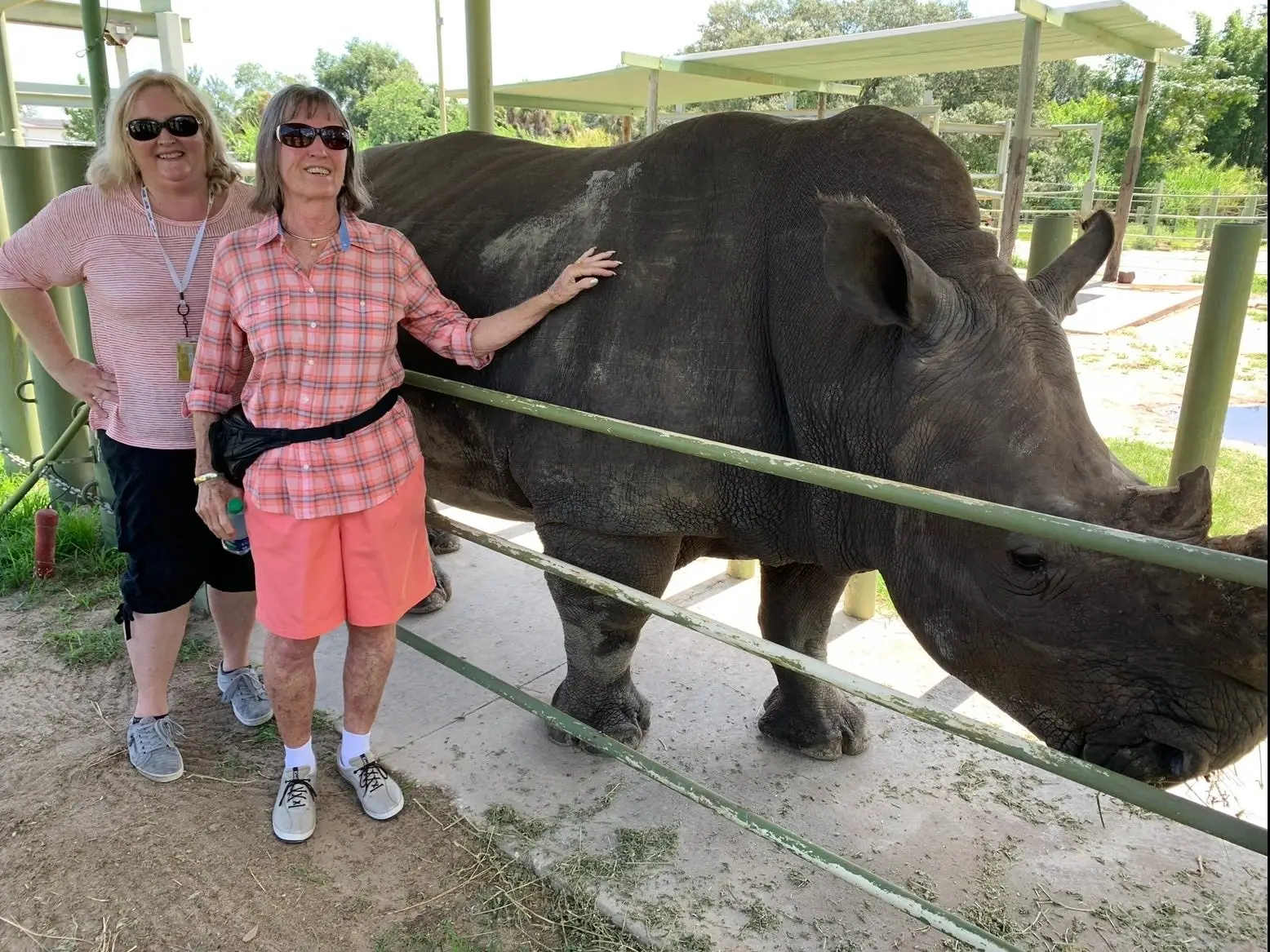 Two women standing beside a rhinoceros at a zoo.