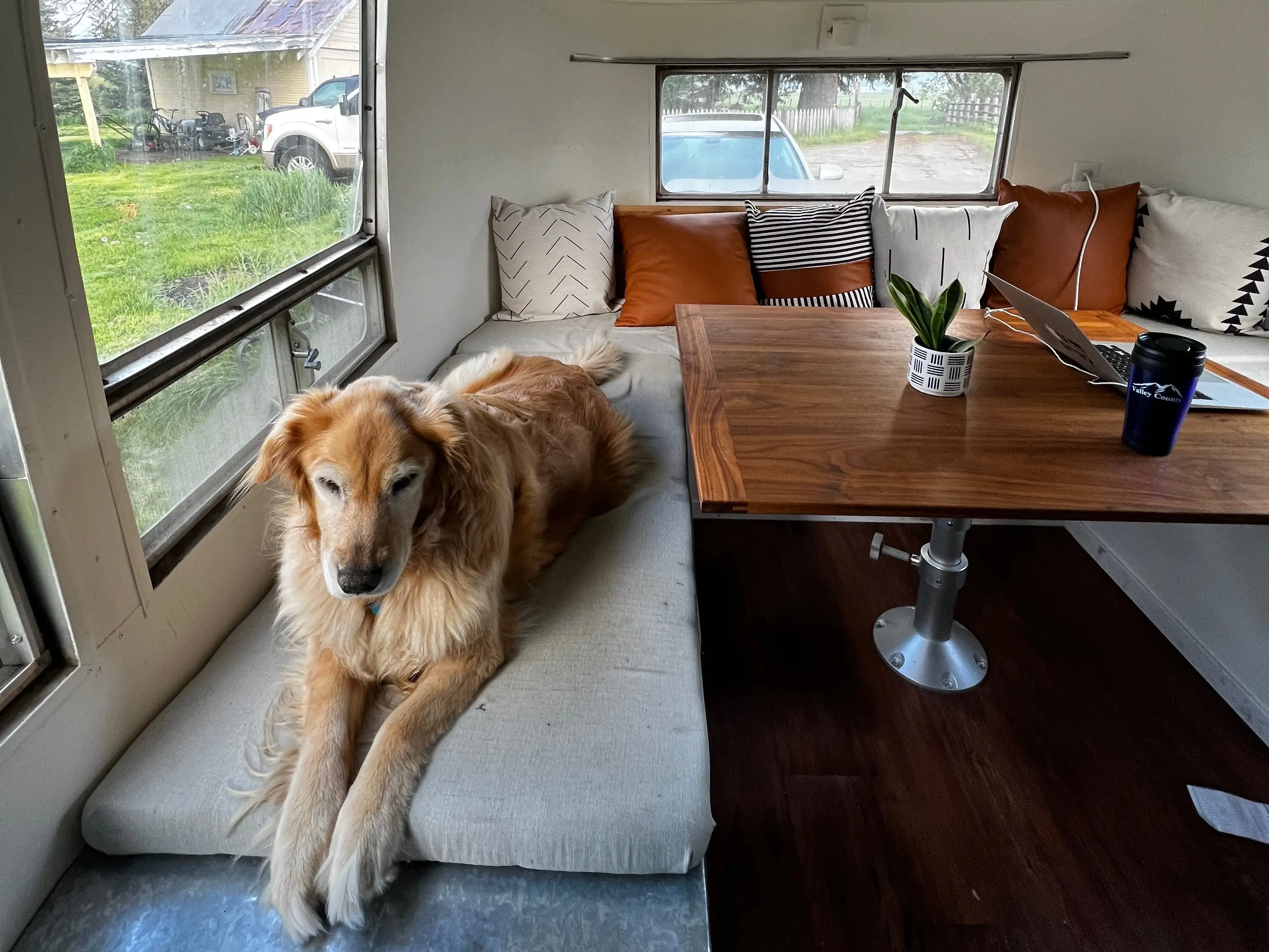 Dog living in Airstream