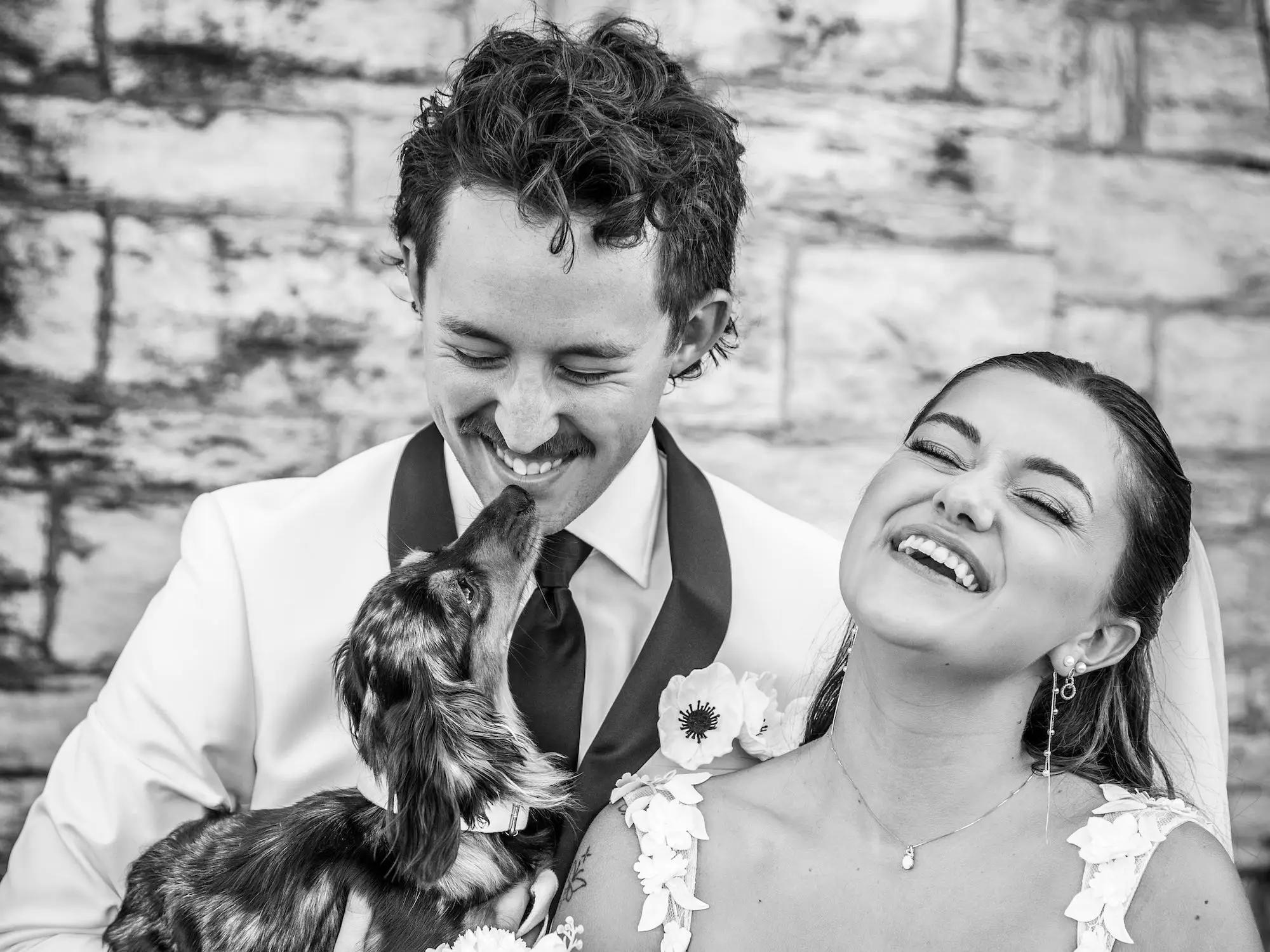A black and white photo of a couple on their wedding day, laughing as their dog kisses their faces.