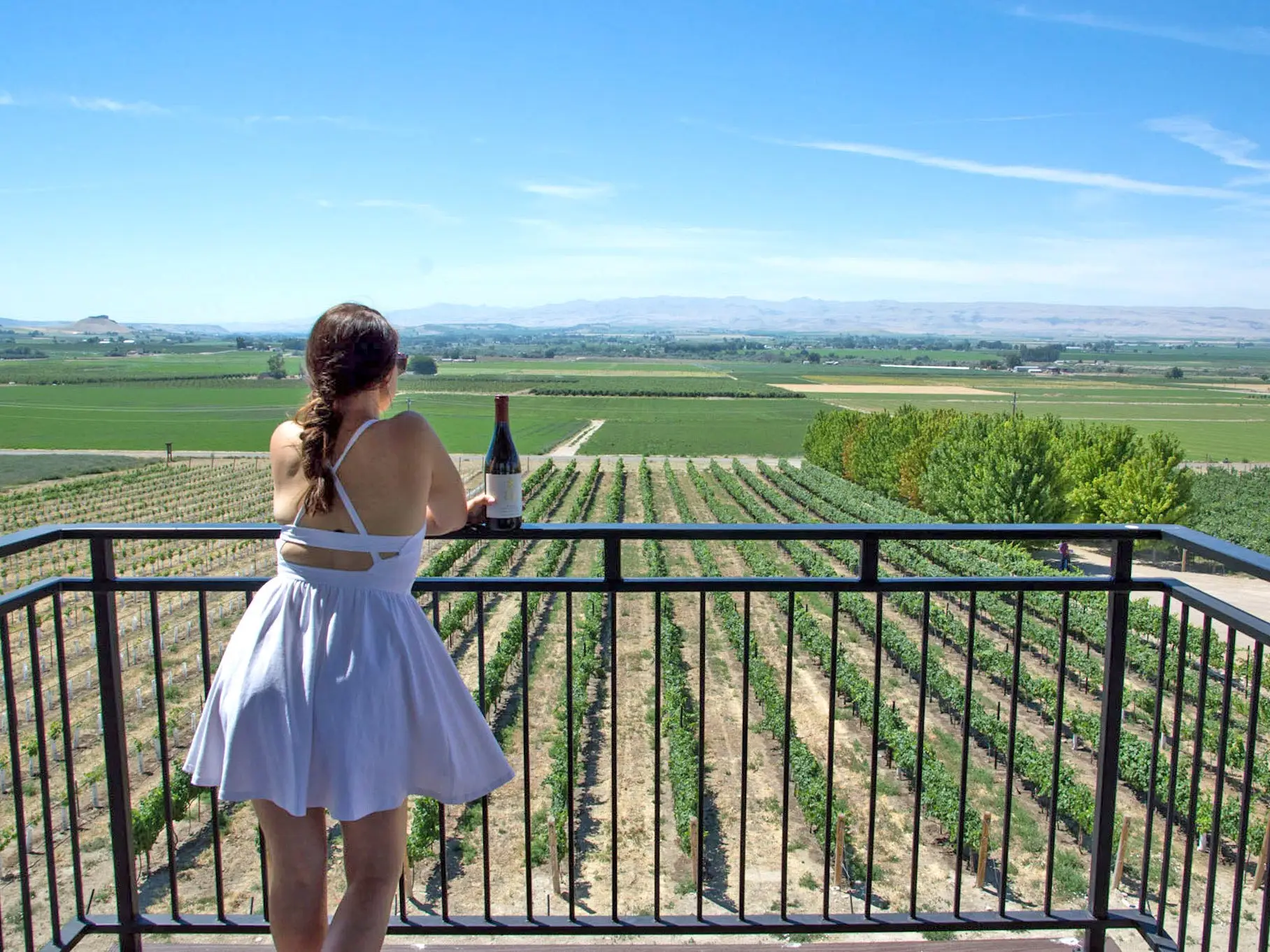 Jaime stands on a balcony looking out over a winery, holding a bottle of wine.