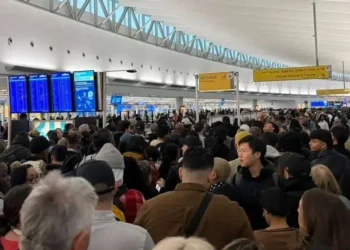 Travelers describe airport chaos as unpaid TSA agents stop showing up: ‘The line is coming from all directions’