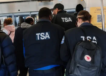The largest federal workers union says ‘untrained, armed’ ICE agents should not replace TSA