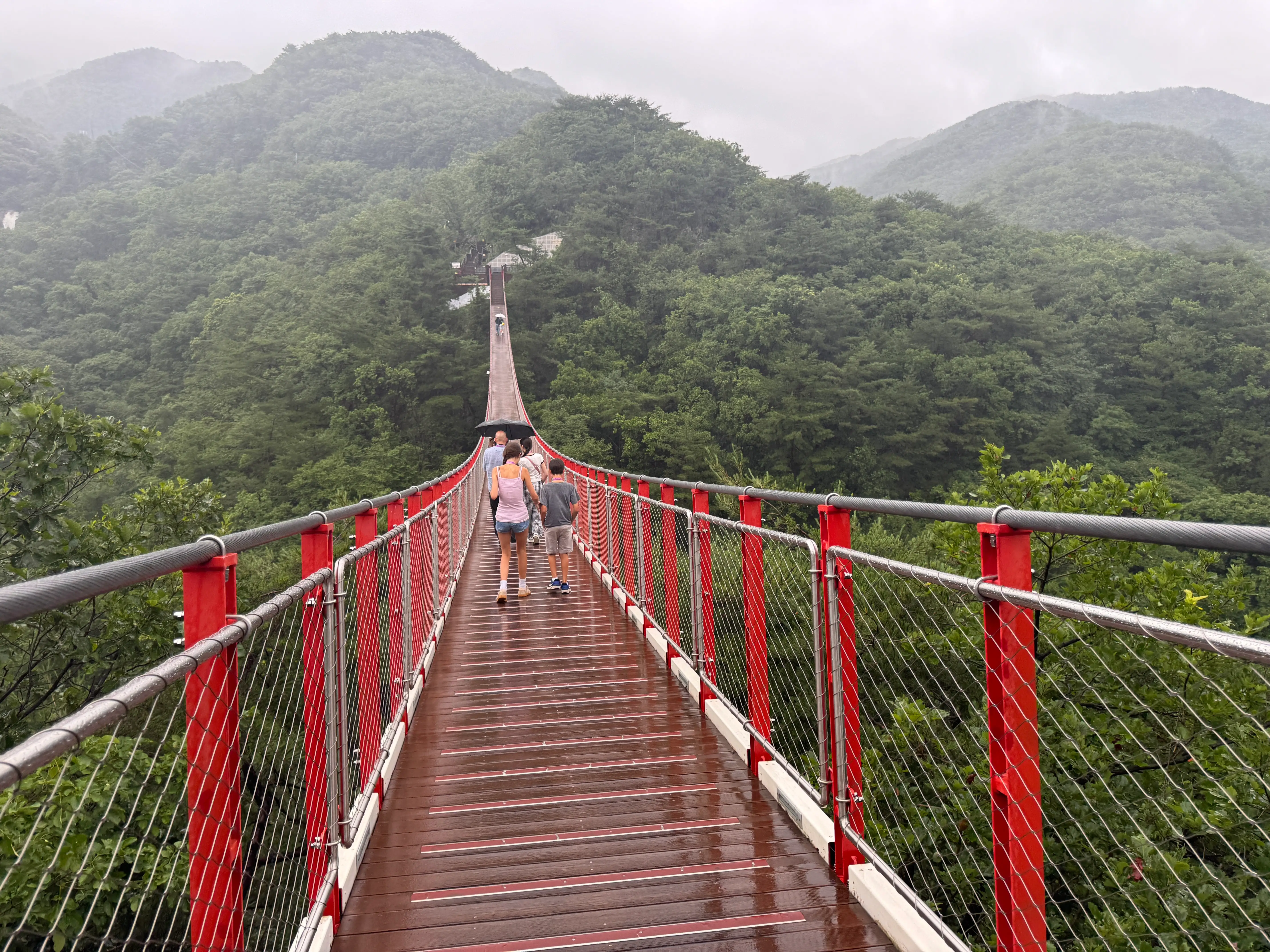 Long red bridge over tree tops in Seoul