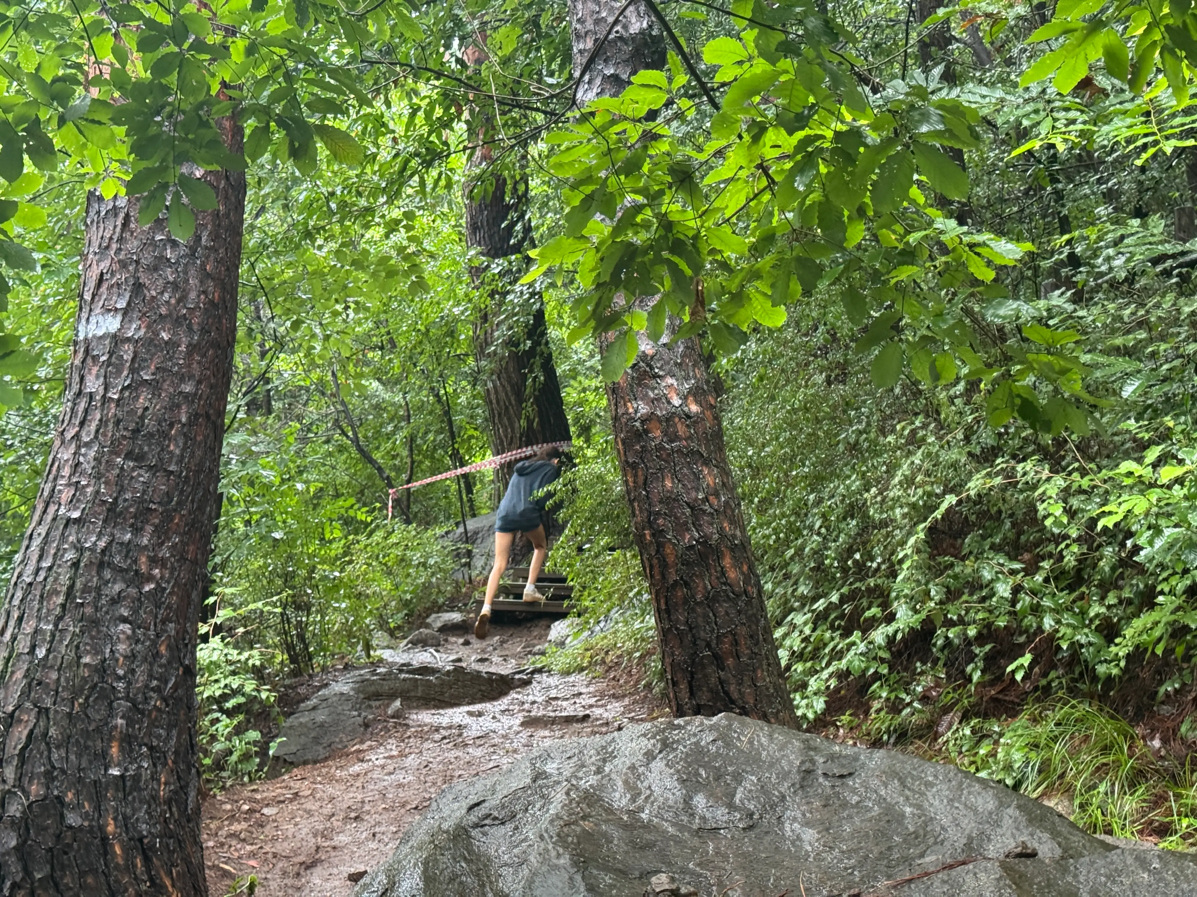 Kid climbing through mud/steps and trees