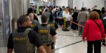 Photos show ICE agents at US airports as TSA staffing shortages disrupt air travel