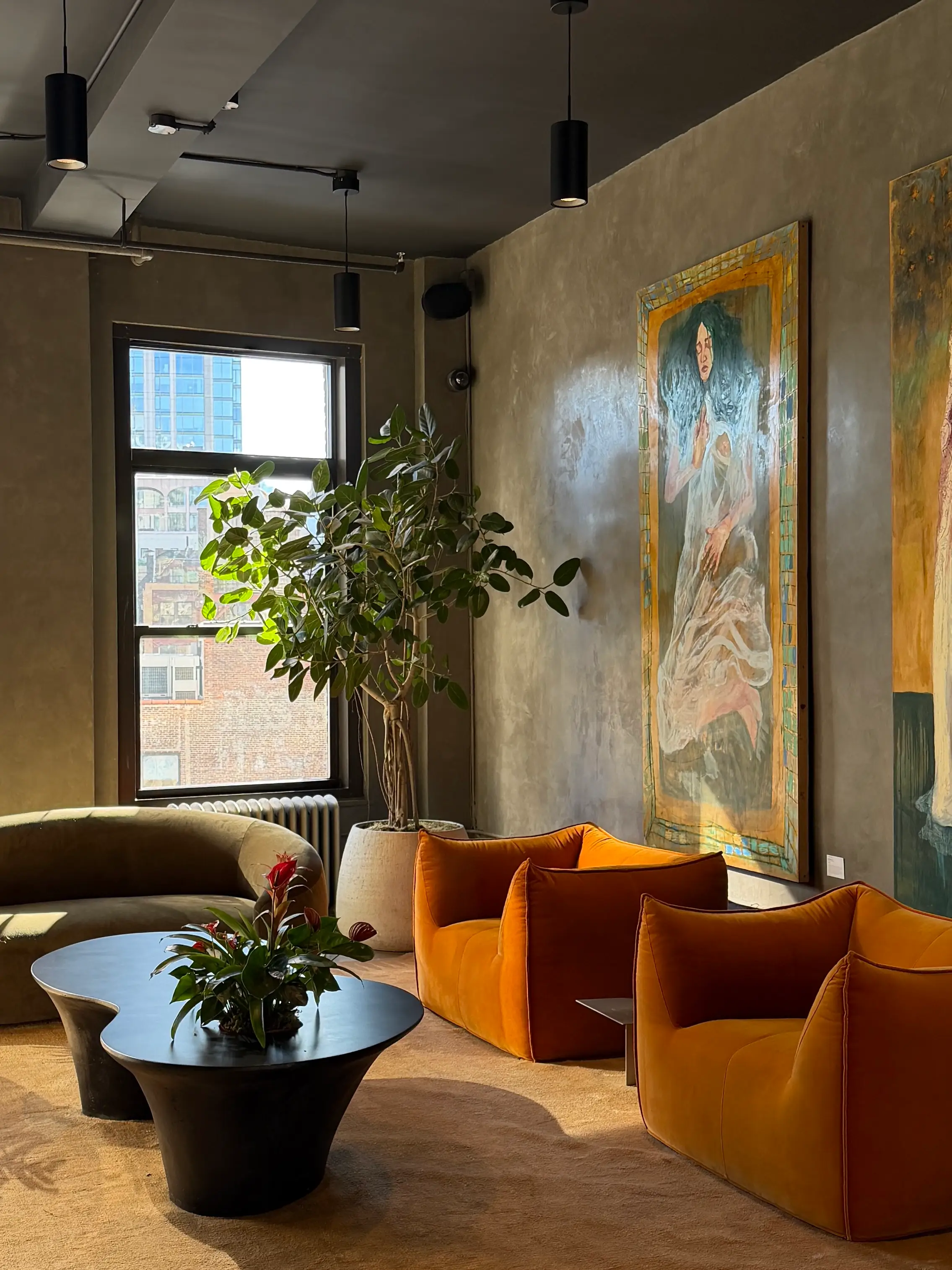 Velour Medical spa coworking space