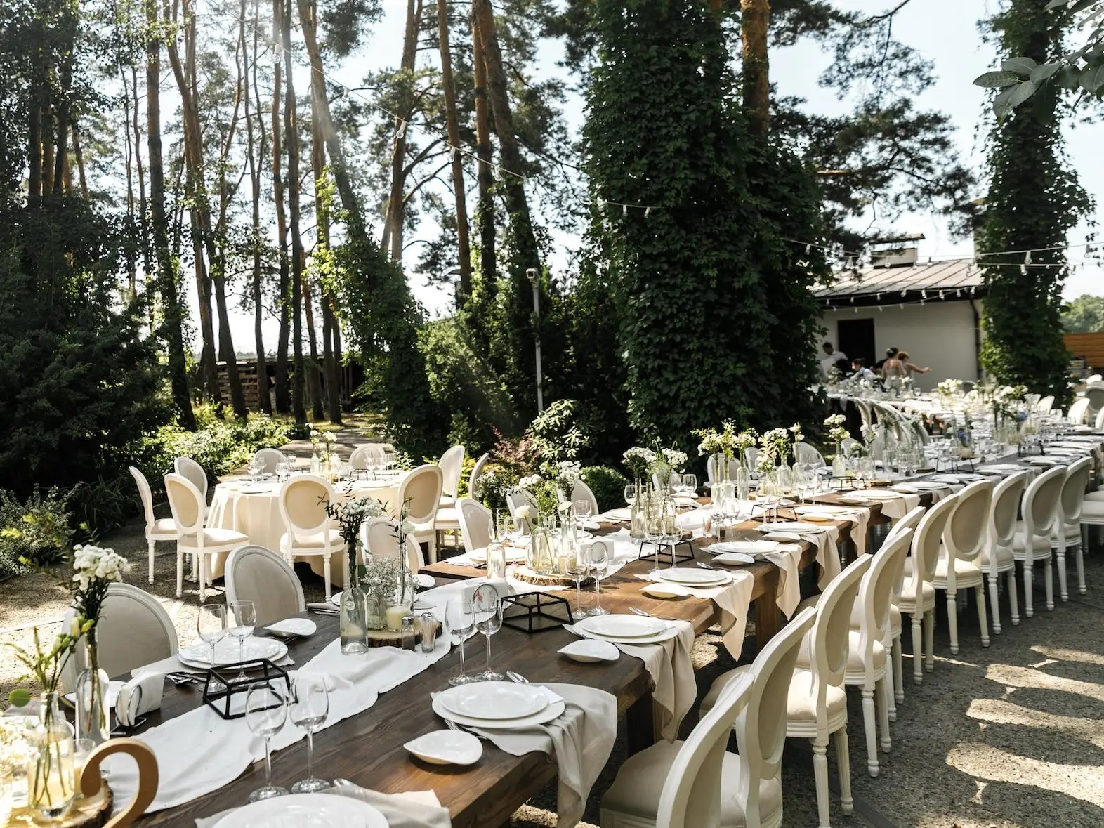 An outdoor wedding reception with a serpentine table.