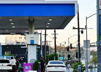 3 things policymakers can do to fight an oil-driven inflation spike, according to the OECD