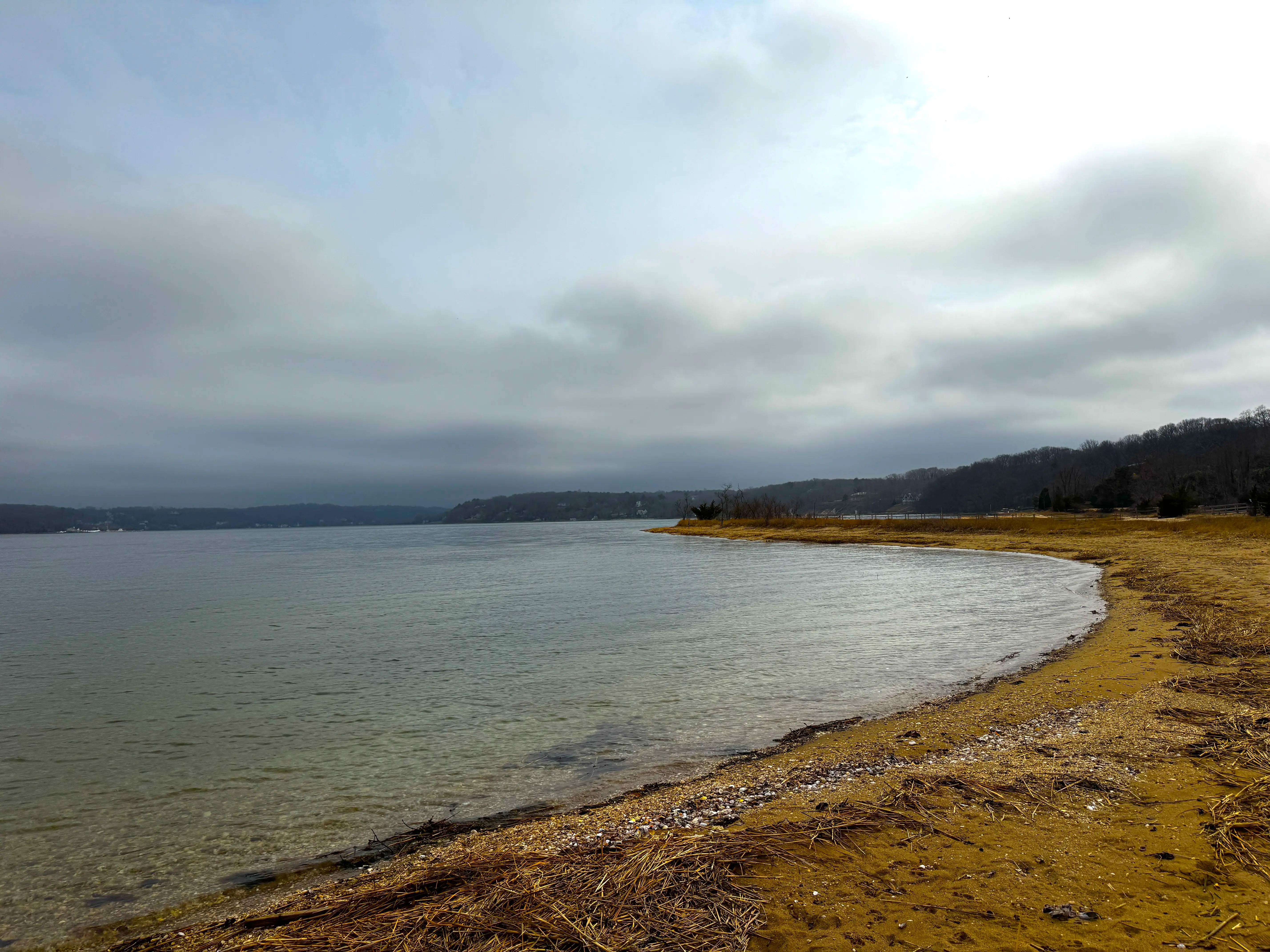 beach at sagamore hill