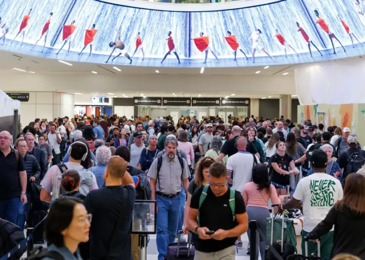 Assaults on TSA workers have spiked 500% since the shutdown began — and airports are pleading with passengers to be patient