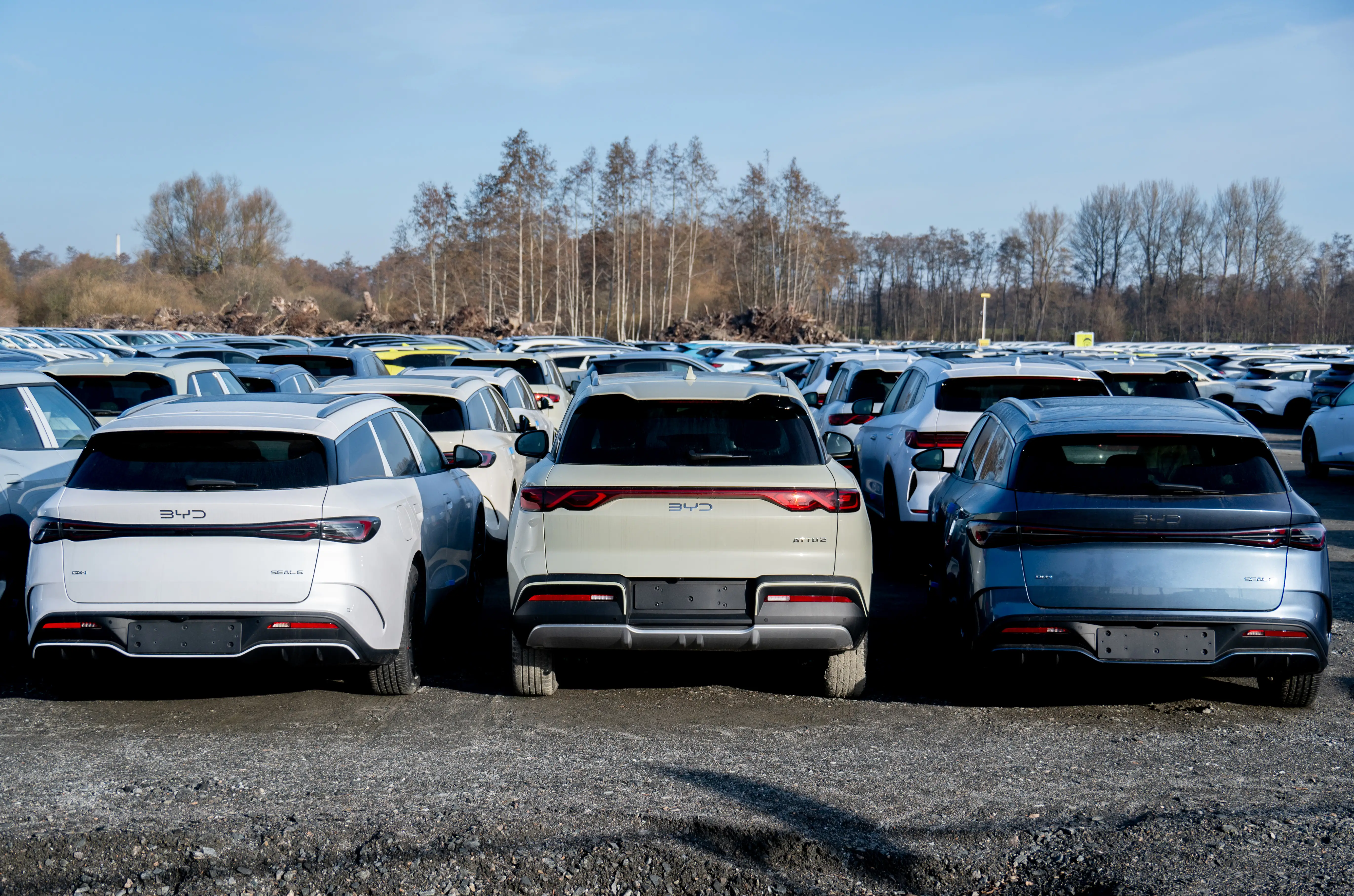A gravel parking lot filled with BYD SUVs. The cars don't have license plates in their holders.