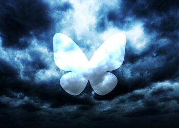 Bluesky raises $100M but faces a messy reality