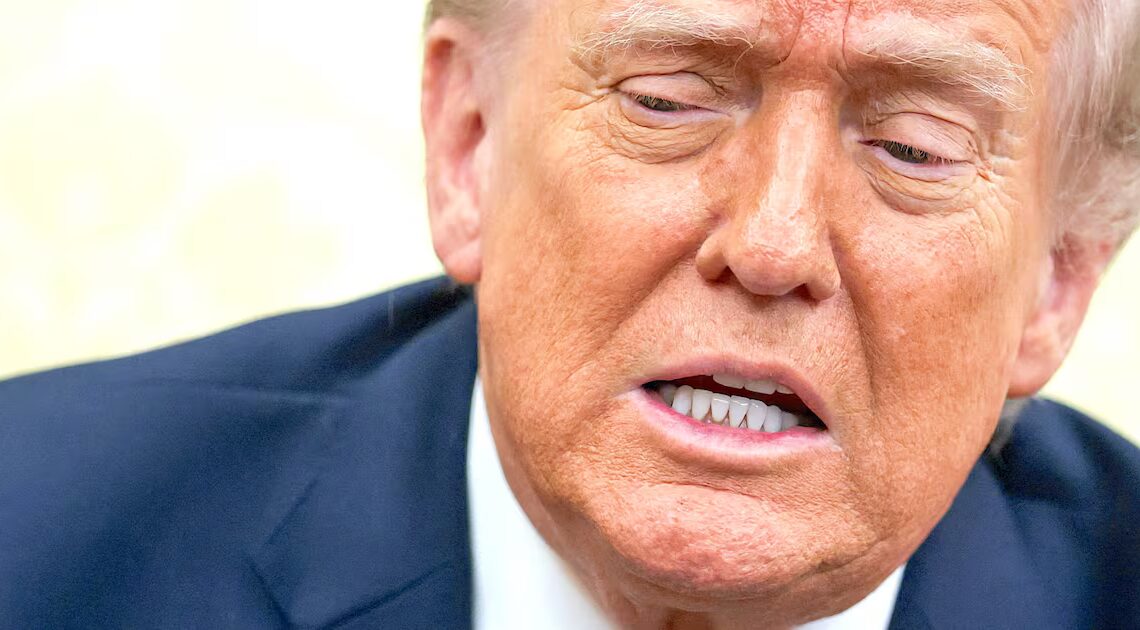 Trump’s Club Cited by Health Inspectors for Rat and Insect Infestations