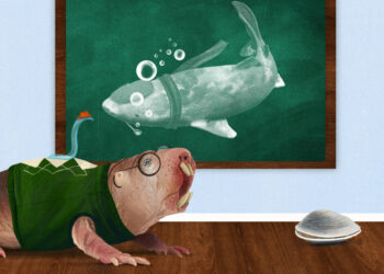 What Earth’s longest-lived animals can teach us about aging better