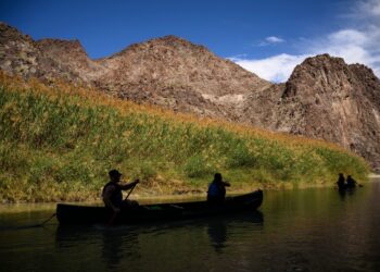 A massive border wall expansion is underway