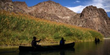 A massive border wall expansion is underway