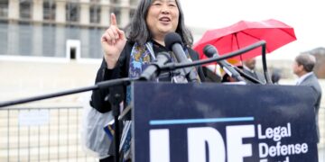 Daughter of immigrants brings history to bear in fight for birthright citizenship