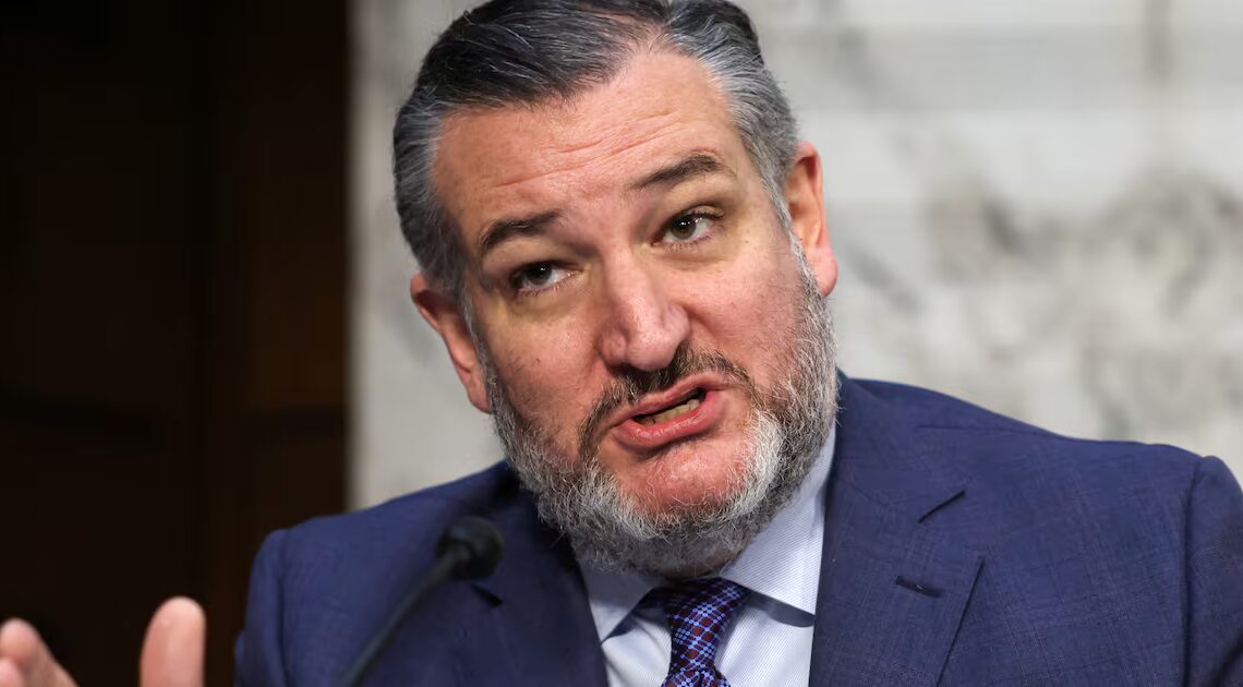 MAGA Melts Down Over Hours-Long Weekend Airport Lines