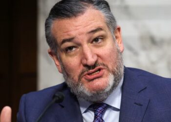 MAGA Melts Down Over Hours-Long Weekend Airport Lines