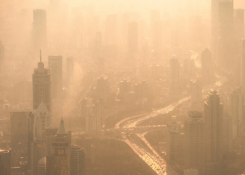 Air Pollution Is Doing Something Strange to Our Brains
