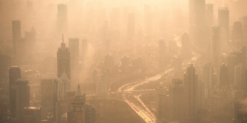 Air Pollution Is Doing Something Strange to Our Brains