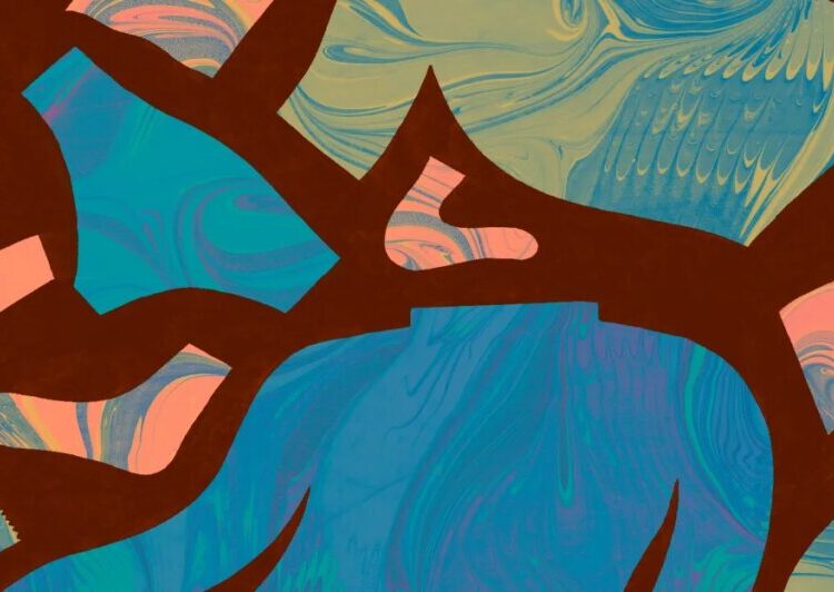 The mysterious Redditor who’s changing the way we do laundry