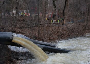 High bacteria levels found in nearby stream after Potomac sewage spill