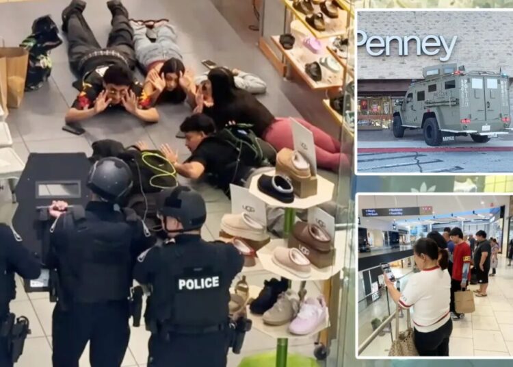 Cops storm SoCal mall after hoax call targets streamers filming with child