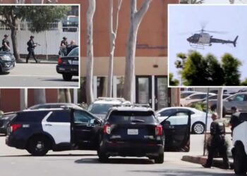 Barricaded suspect busted after police swarm Venice