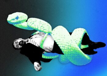 Can AI Kill the Venture Capitalist?