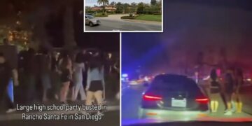 San Diego rager brings swarm of cops after hundreds of kids flood ritzy neighborhood